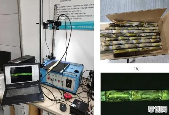 数据揭示，边缘计算落地的背后，是量子随机梯度下降在起作用