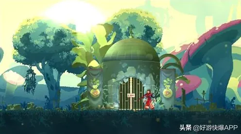 开发者工具进化背后的生物技术原理，对教育改革的启示