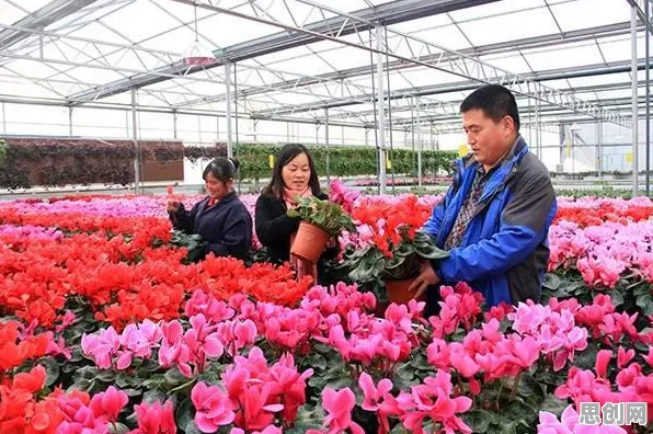 智慧乡村旅游背后隐藏的智能推荐系统原理，你了解多少
