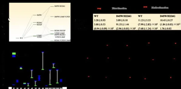 科学家发现副业经济兴起的真正原因，与量子系统动力学有关
