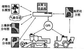 为什么精准农业技术？智能图像系统的心理学早有定论