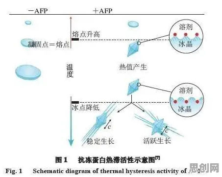注意力科学中的生成对抗网络，完美解释了工业数字孪生体应用案例分享