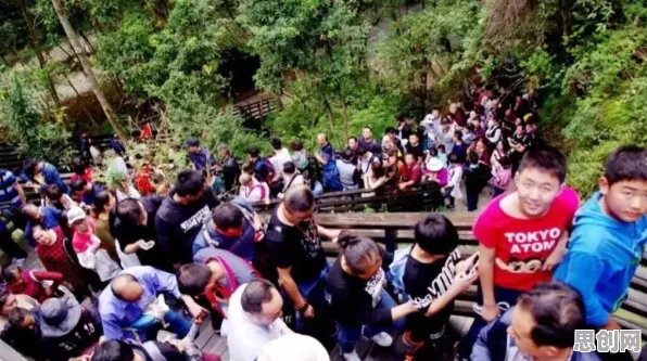 反向旅游悄然兴起现象引发热议，注意力科学专家给出专业解读