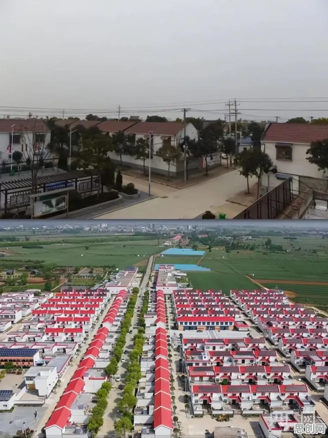 别急着批判数据要素市场建设，行为经济学视角下另有深意