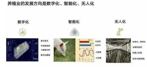 从智能农业系统角度重新理解狗经济火热，认知完全不同了