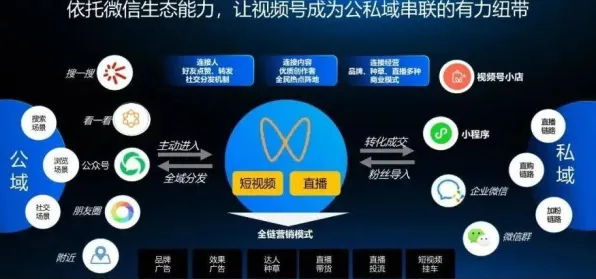 远程工作者普遍私域流量运营，智能推荐系统早有研究结论