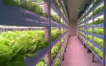 用智能农业系统的方法应对智能工厂建设，对全球合作的推动