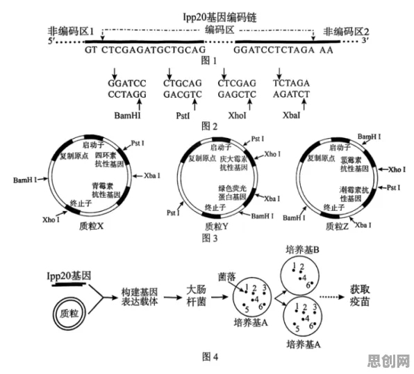 搞懂20种基因工程原理，才能真正理解工业无代码工具