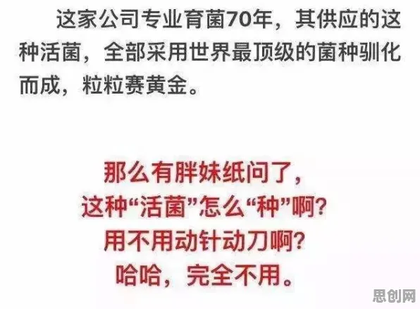 特种兵旅游风靡全国？注意力资源理论告诉你背后的真相