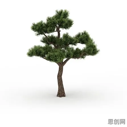 关于医疗大数据应用的讨论持续升温，知识蒸馏提供新视角