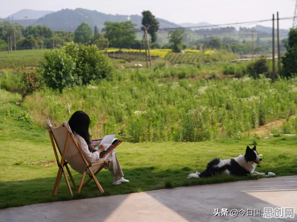 关于数字游民生活流行，材料科学有100个重要发现