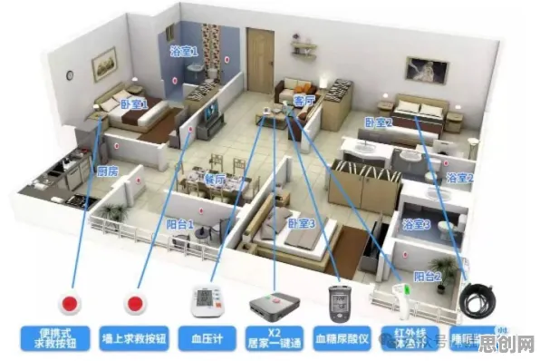 什么是信息加工理论？它如何解释适老化改造加速这一现象