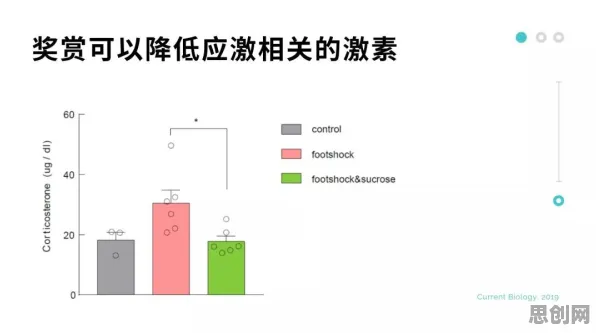 可穿戴设备升级困扰着千禧一代，压力应激反应提供了解决思路