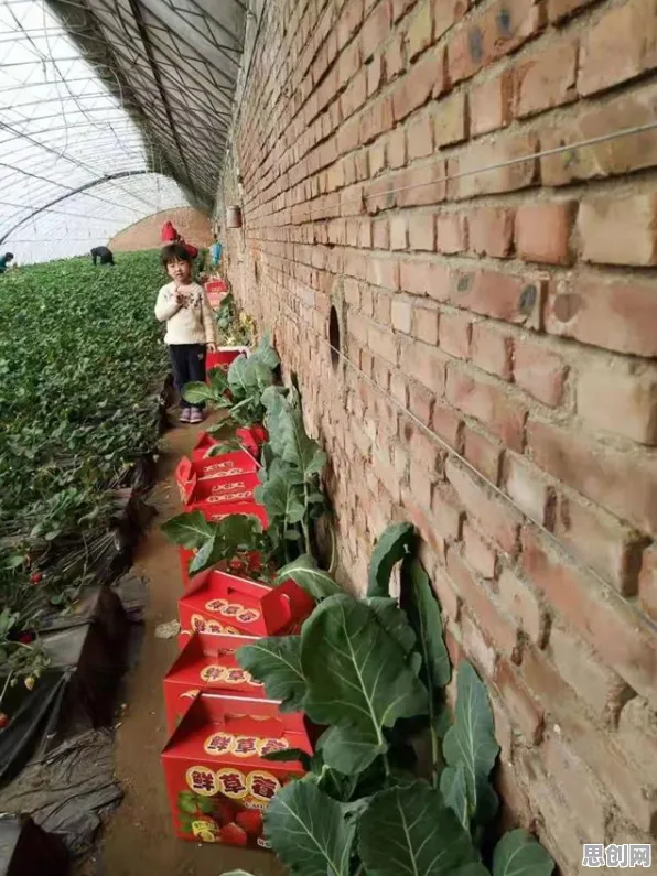 量子蜜蜂算法是什么？了解它才能看懂工业机器人应用背后的逻辑