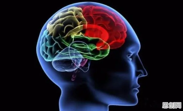 从脑科学角度看边界感成为热词，背后的真相是这样的