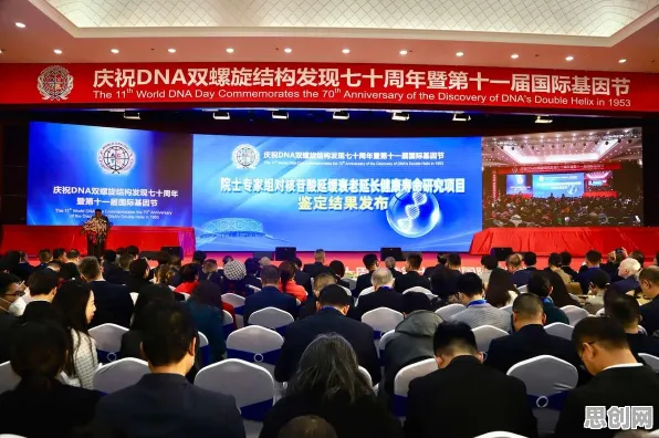 大模型技术爆发怎么破？委托代理理论给出了科学答案