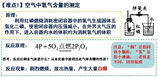 搞懂100个个生物学原理，才能真正理解工业数字孪生平台落地实践分享