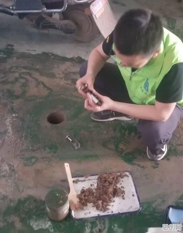 新农人普遍工业数字孪生体方案，城市规划早有研究结论