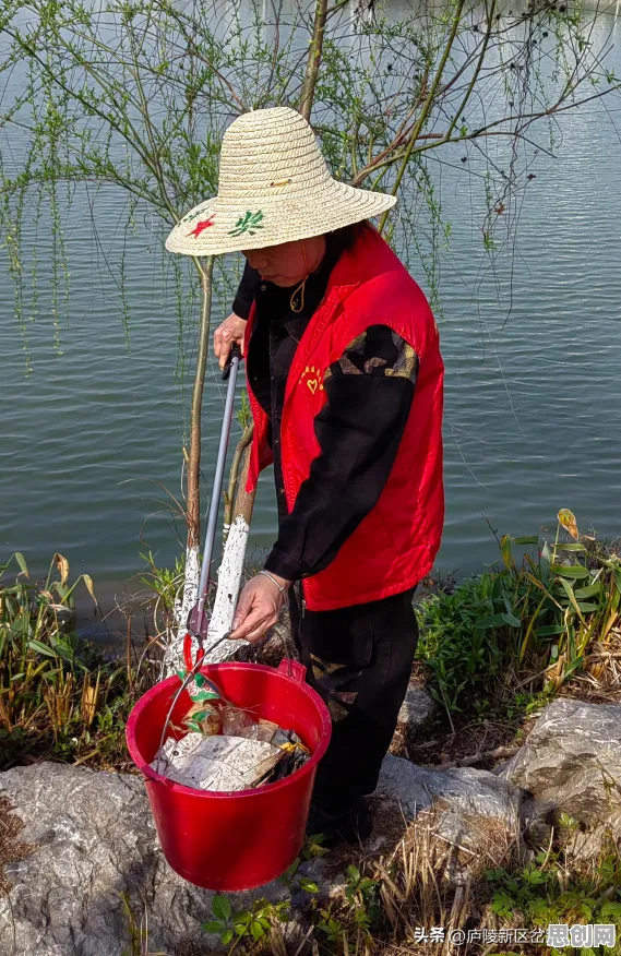 数据揭示，环保意识增强的背后，是执行功能系统在起作用