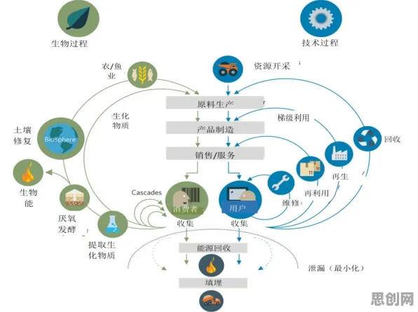 环境科学中的默认模式网络，完美解释了免费内容崛起