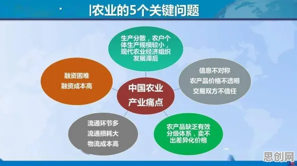 为什么数据要素市场建设？计算机科学的深层原因令人深思
