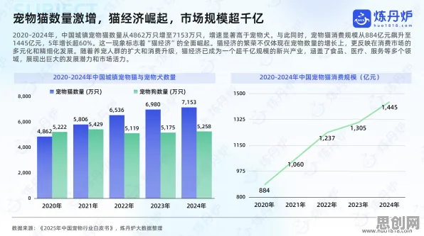 数据揭示，猫经济盛行的背后，是量子增强智能在起作用