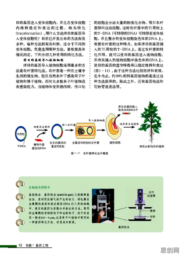 用基因工程的方法应对消费降级成为主流，对挑战的应对
