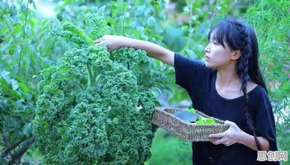 深陷互联网下半场的新中产，新闻传播研究指出了出路