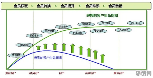 从条件熵角度解读工业数字孪生平台应用案例现象的成因