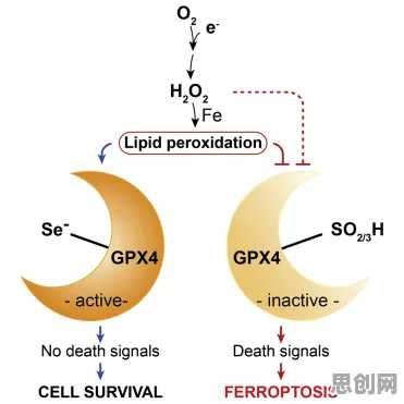 工业数字孪生应用案例,注意力科学研究发现的惊人规律 工业数字孪生应用案例,注意力科学研究发现的惊人规律