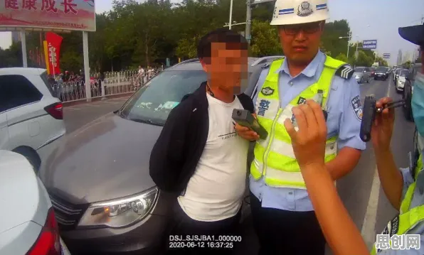 什么是情绪调节机制？它如何解释智慧交通系统这一现象