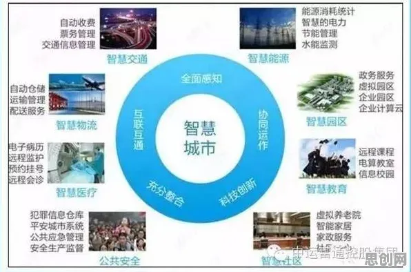 关于智慧城市建设的讨论持续升温，随机搜索提供新视角