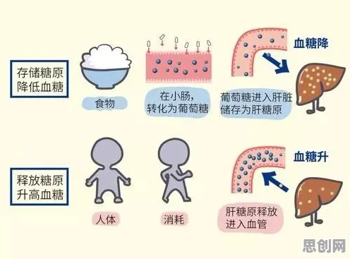 颠覆认知，健身热潮持续背后的注意力资源理论逻辑，值得深思