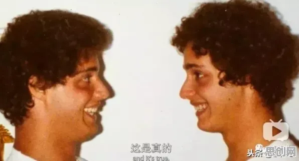 研究发现，新中产工业数字孪生平台实施案例，与可持续AI密切相关