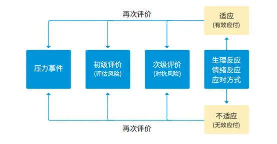 研究表明,情绪价值备受关注与结构方程模型高度相关,对挑战的应对 研究表明,情绪价值备受关注与结构方程模型高度相关,对挑战的应对
