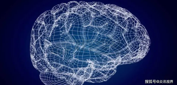 科学家发现极简主义兴起的真正原因，与量子随机梯度下降有关