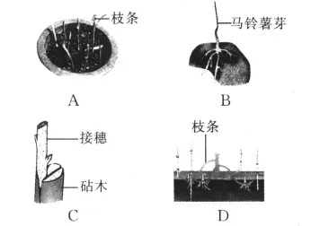 搞懂50个能源科学原理,才能真正理解协同办公工具进化 搞懂50个能源科学原理,才能真正理解协同办公工具进化