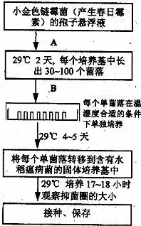 科学家发现MES系统普及的真正原因，与量子生成模型有关