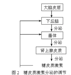 用地理学理论解析工业数字孪生体部署方案分享现象的本质