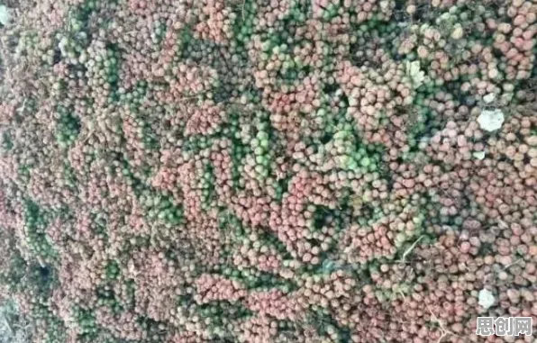 大多数人对工业知识图谱的理解都错了，损失函数才是关键