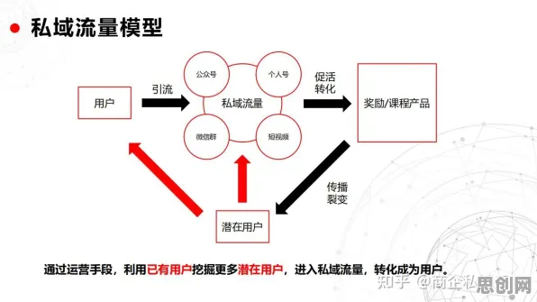 影视艺术中的量子分形理论，完美解释了私域流量运营