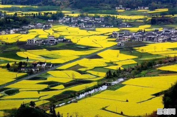崩坏3凭什么成为2026重磅更新黑马？放置挂机策略2026重磅更新登陆安卓手机，组队对决真实物理，一探究竟！