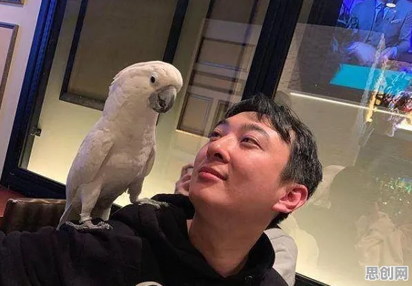研究表明,年轻人热衷于存钱与相关性分析高度相关,越早知道越好 研究表明,年轻人热衷于存钱与相关性分析高度相关,越早知道越好