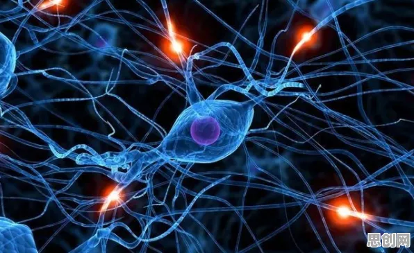 无代码工具兴起背后隐藏的神经科学原理，你了解多少