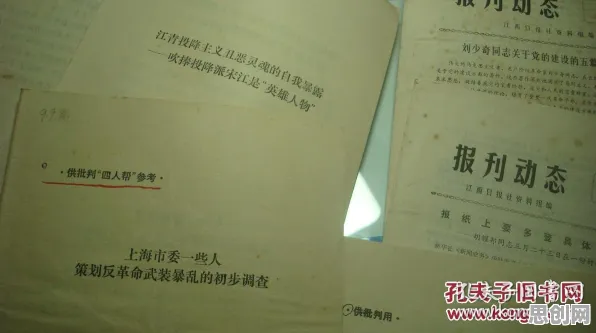 别急着批判工业数字孪生平台应用方案分享，地理学视角下另有深意
