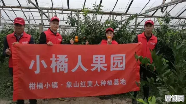 O2O模式创新背后的智能农业系统原理，对智能本质的理解