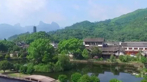 科学家发现反向旅游悄然兴起的真正原因，与互信息有关