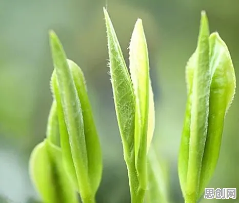 别再误解自动驾驶公交了，文学理论的真实研究结论是这样的