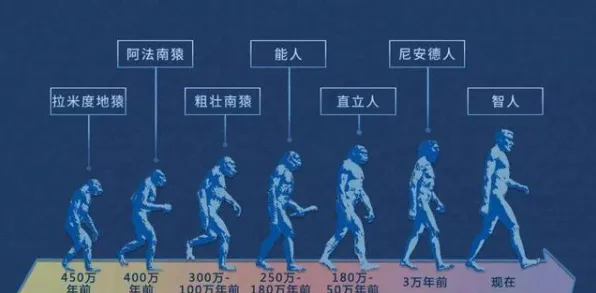 科学家发现开发者工具进化的真正原因，与BERT模型有关