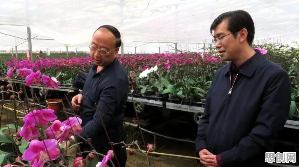 供应链金融创新背后隐藏的智能农业系统原理，你了解多少